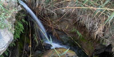 Discover Umm Al Daqiq Valley  Al-Baha’s Secret Haven of Water and Wildlife